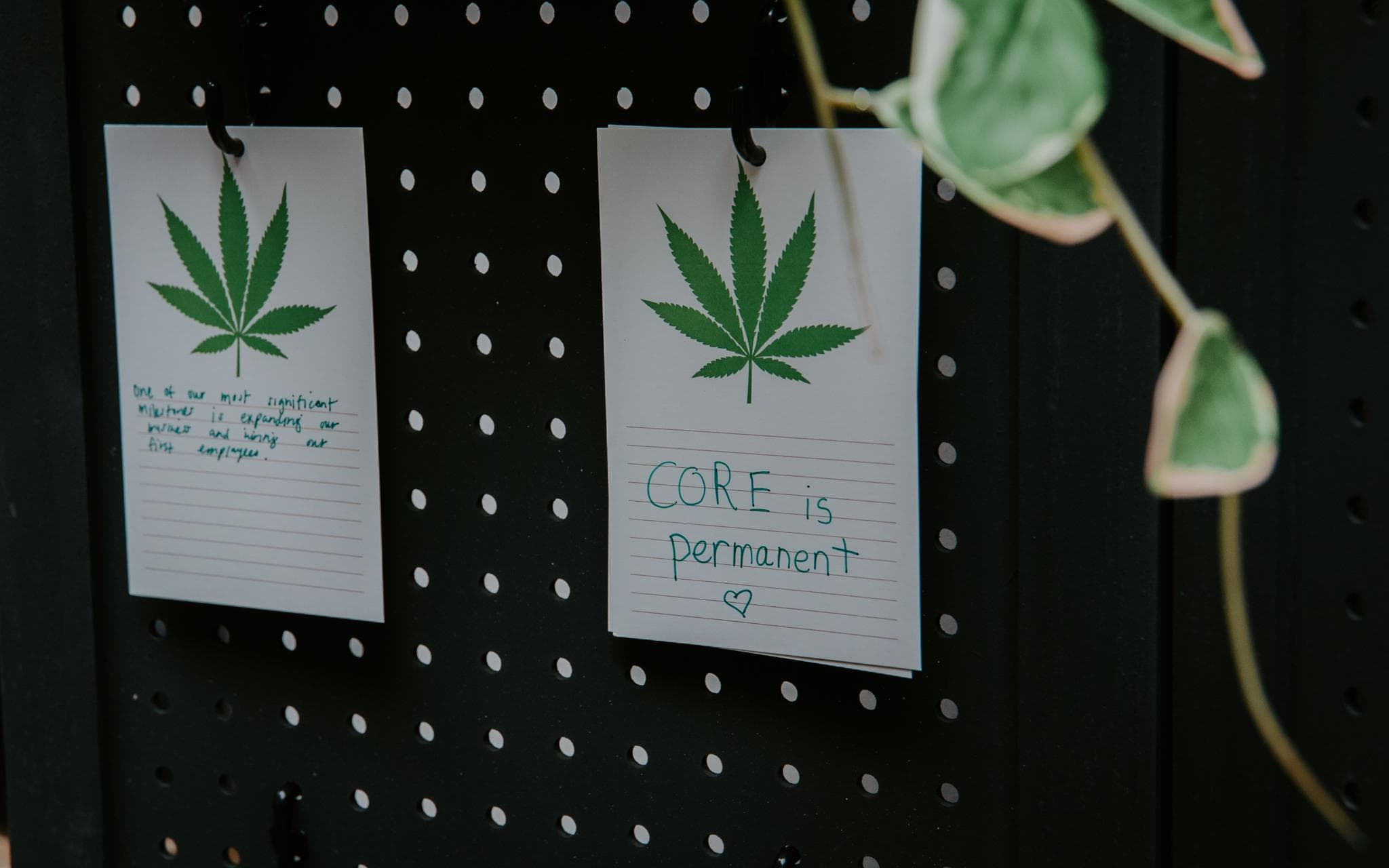 Events with Impact for CORE — Gallery 3