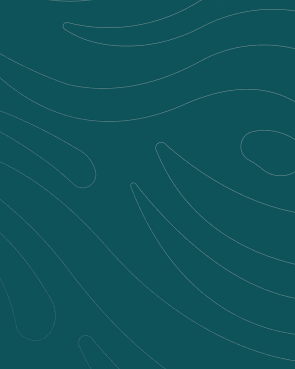 Transformative Teams